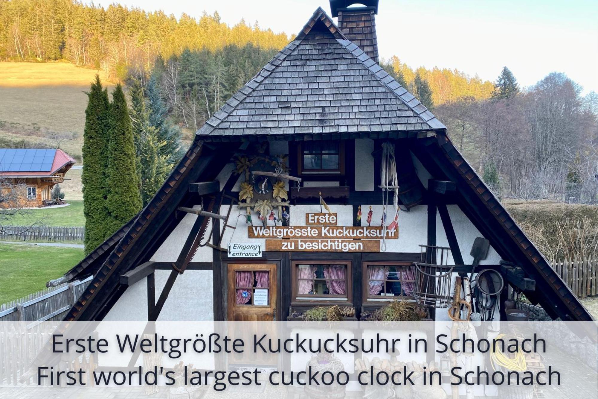 Auszeit Apartment Black Forest ショナッハ エクステリア 写真